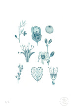 Cargar imagen en el visor de la galería, Flora Silvestre 2 - 33 x 48 cm
