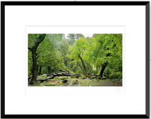 Cargar imagen en el visor de la galería, Verde - 48 x 33 cm

