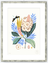 Cargar imagen en el visor de la galería, Protea Mia - 33 x 48 cm

