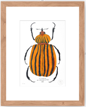 Cargar imagen en el visor de la galería, Escarabajo Amarillo - 33 x 48 cm
