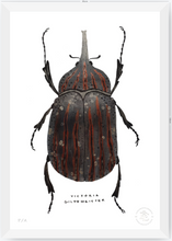 Cargar imagen en el visor de la galería, Escarabajo Grafito - 33 x 48 cm
