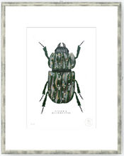 Cargar imagen en el visor de la galería, Escarabajo Verde Sicodélico - 33 x 48 cm
