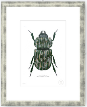 Cargar imagen en el visor de la galería, Escarabajo Verde Sicodélico - 33 x 48 cm
