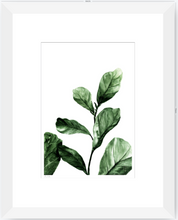 Cargar imagen en el visor de la galería, Ficus - 33 x 48 cm
