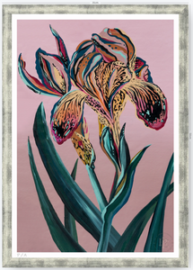 Orquídea Tigre - 33 x 48 cm