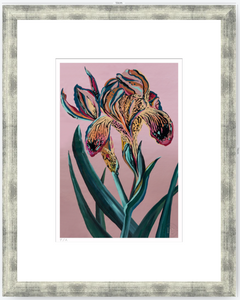 Orquídea Tigre - 33 x 48 cm