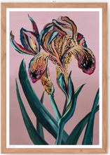 Cargar imagen en el visor de la galería, Orquídea Tigre - 33 x 48 cm
