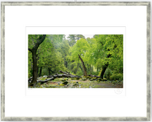 Cargar imagen en el visor de la galería, Verde - 48 x 33 cm
