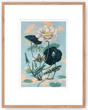 Cargar imagen en el visor de la galería, Lotus II - 33 x 48 cm
