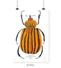 Cargar imagen en el visor de la galería, Escarabajo Amarillo - 33 x 48 cm
