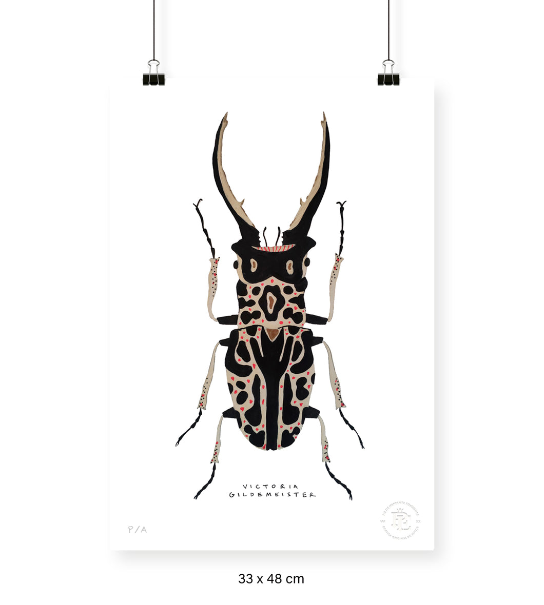 Escarabajo Macho - 33 x 48 cm